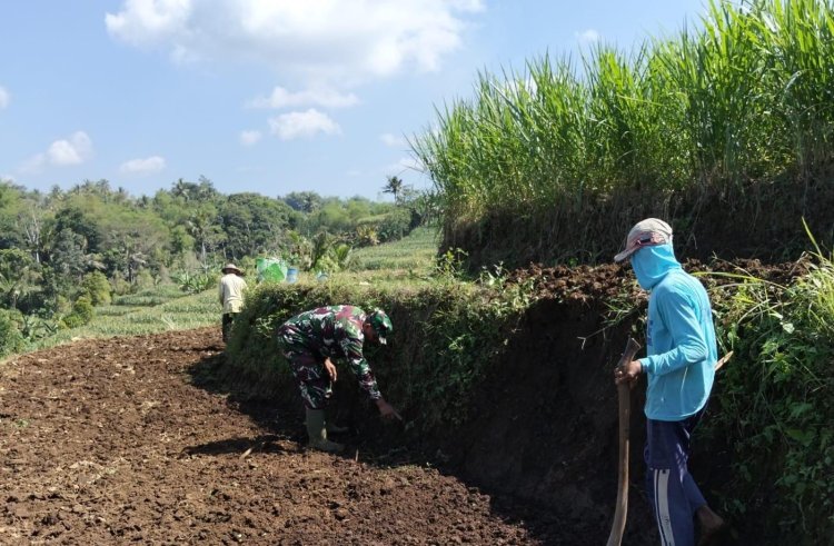 Sertu Tatang Bantu Petani Percepat Persiapan Musim Tanam