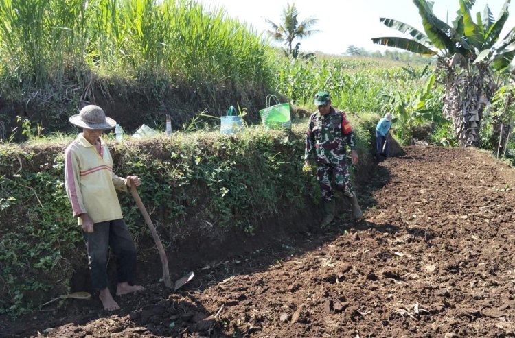 Sertu Tatang Bantu Petani Percepat Persiapan Musim Tanam