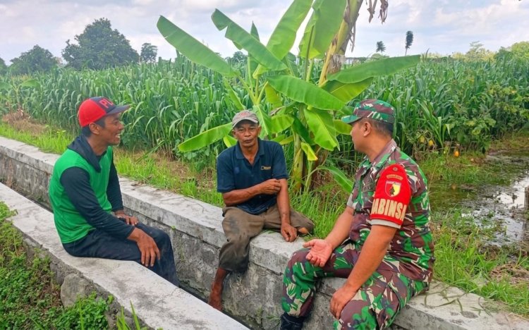 Kapenrem 081/DSJ: Pendampingan Babinsa Bentuk Kepedulian TNI AD