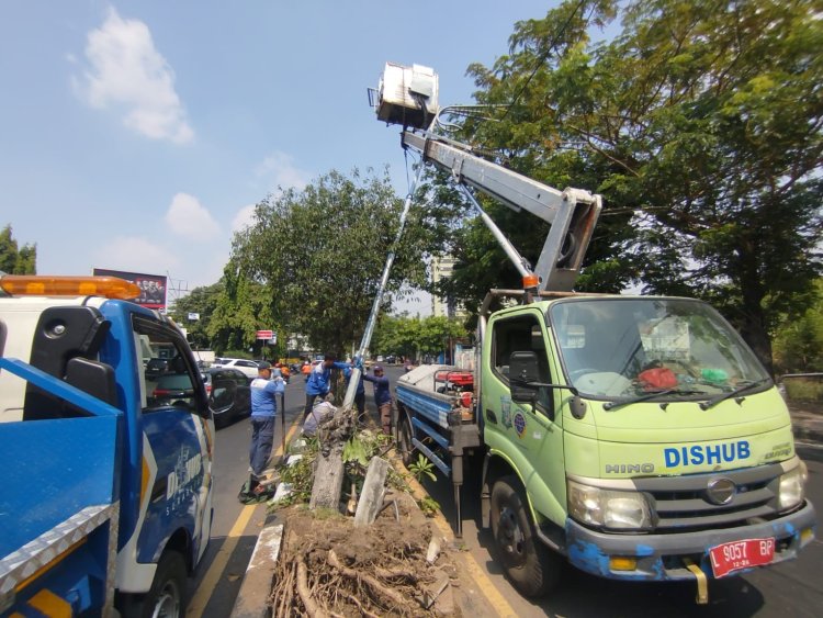 Tersenggol Truk, Tiang PJU Jalan Sumatra Bengkok Parah, Dishub Langsung Lakukan Penggantian