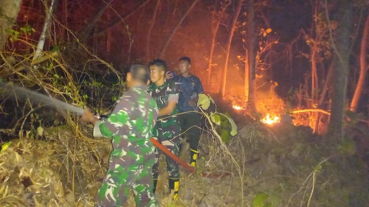 Babinsa Bersama Yon TP dan Warga Padamkan Kebakaran Lahan di Gunung Krandegan