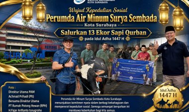 Wujud Kepedulian Sosial, Perumda Air Minum Surya Sembada Kota Surabaya Salurkan 13 Ekor Sapi Qurban Pada Hari Raya Idul Adha 1447 H