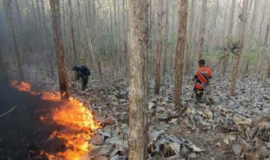 Cegah Kebakaran Meluas, Babinsa dan Perhutani Padamkan Api di Sekitar Hutan Jati Pucangan