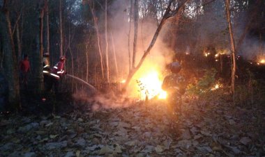 TNI-Polri Bersama Damkar dan Warga Padamkan Kebakaran Lahan Perhutani di Tiudan