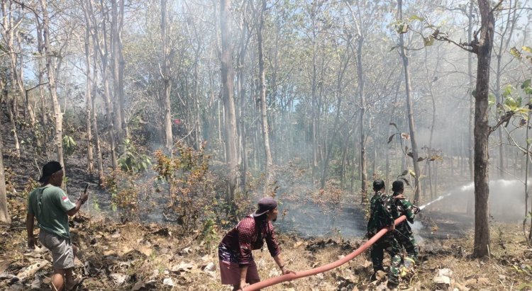 Gerak Cepat Babinsa Bersama Yonif TP 886/PJY Padamkan Kebakaran Lahan di Banyuurip