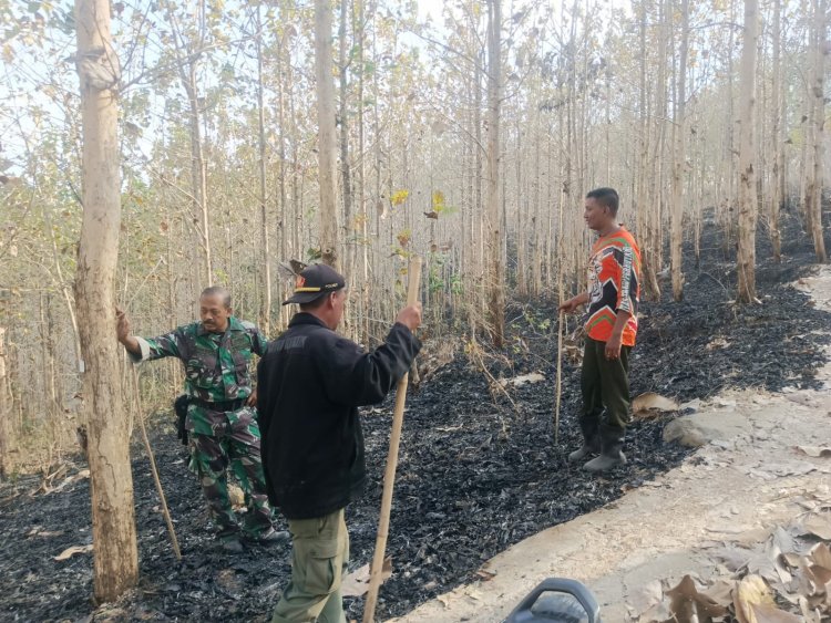 Cegah Kebakaran Meluas, Babinsa dan Perhutani Padamkan Api di Sekitar Hutan Jati Pucangan