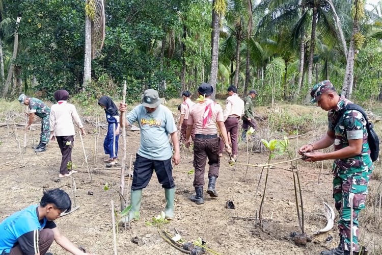 HUT ke-81 TNI, Koramil 0806-11/Panggul Tanam Mangrove di Pantai Kili-Kili