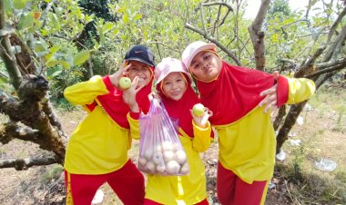 Belajar dari Alam: Siswa SD Muhammadiyah 13 Surabaya Petik Apel dan Jelajah Selecta di Batu