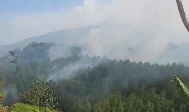 Kebakaran Lahan 2 Hektare di Nogosari Pacet Padam, Gotong Royong Warga dan Staf Wisata Selamatkan Pemukiman