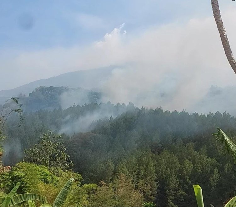 Kebakaran Lahan 2 Hektare di Nogosari Pacet Padam, Gotong Royong Warga dan Staf Wisata Selamatkan Pemukiman
